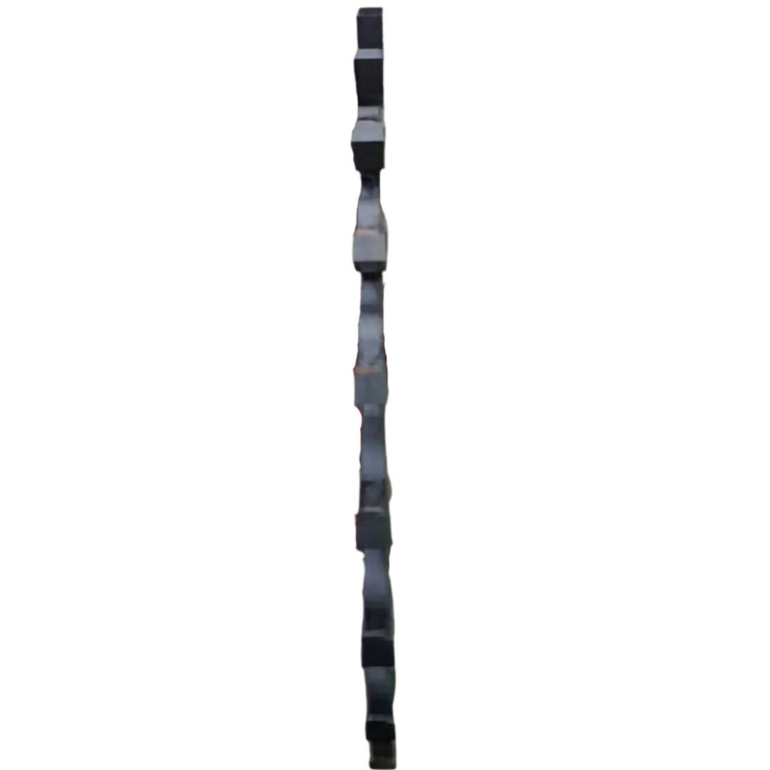 Incisor SCC Franzoi